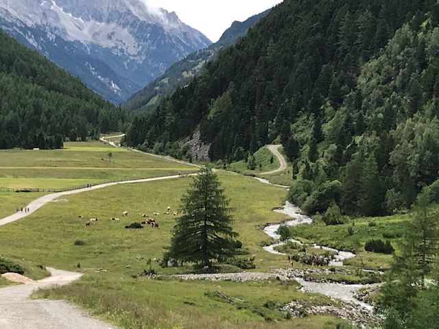 Weg zur Knuten Alm (Rückweg Richtung Parkplatz)