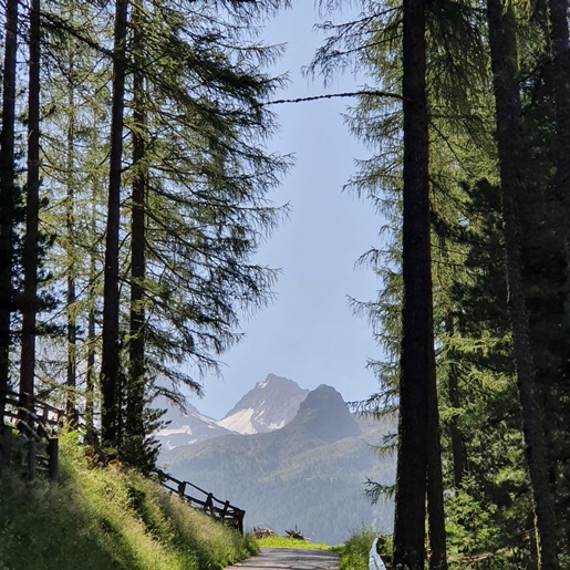 Toller Ausblick in  die Täler und die schneebedeckten Berge