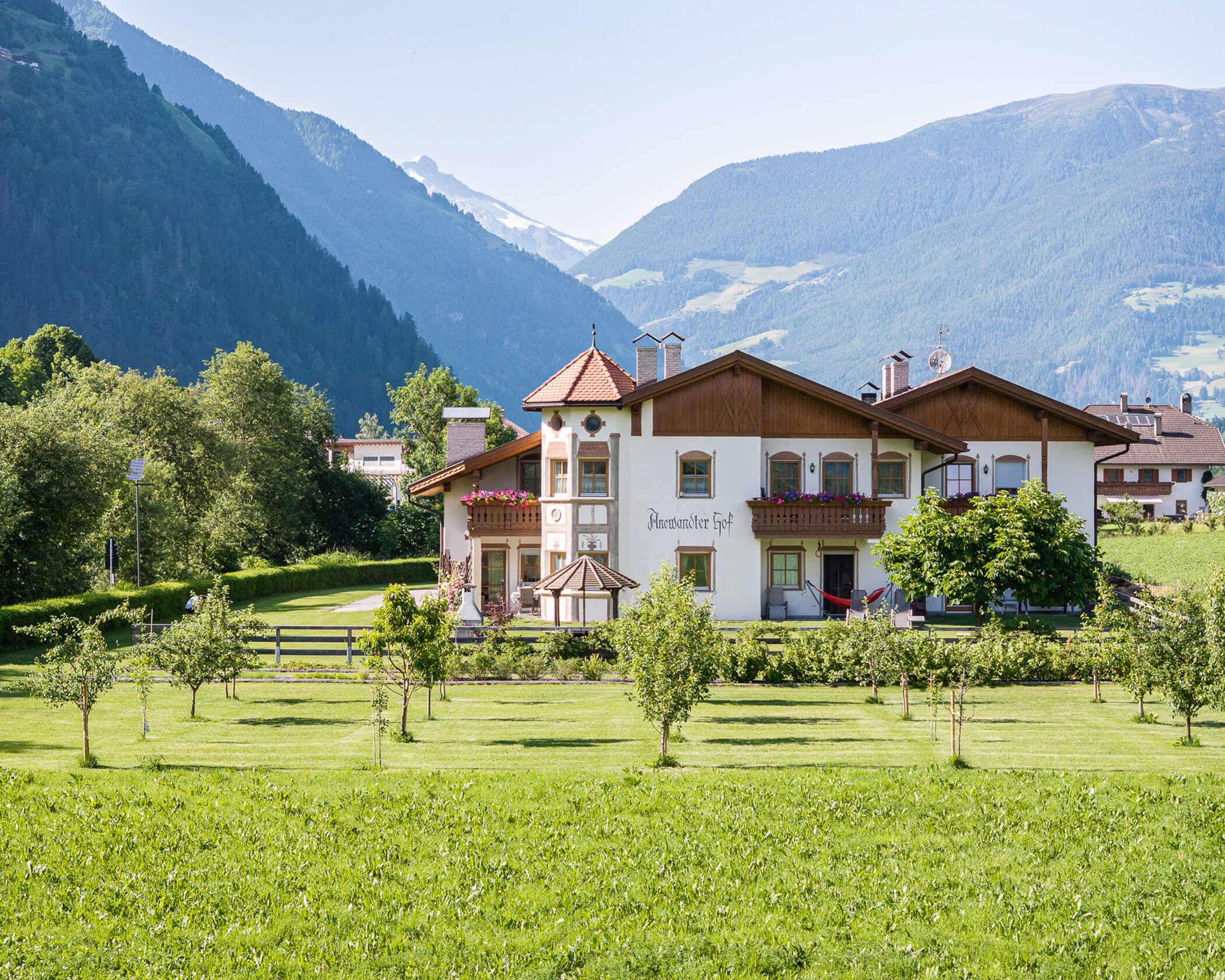 Grüner Wiese vor dem Anewandter Hof