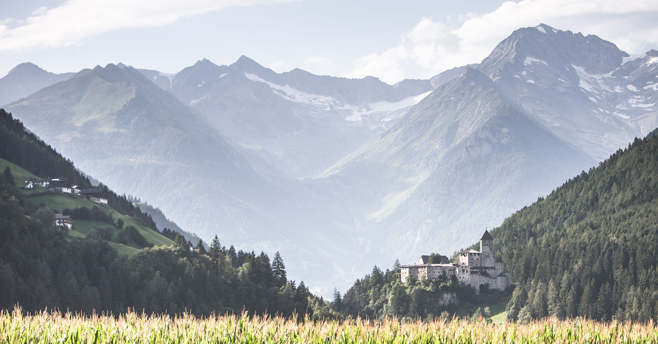 Il Castel Taufers da lontano in estate - Hotel Anewandter