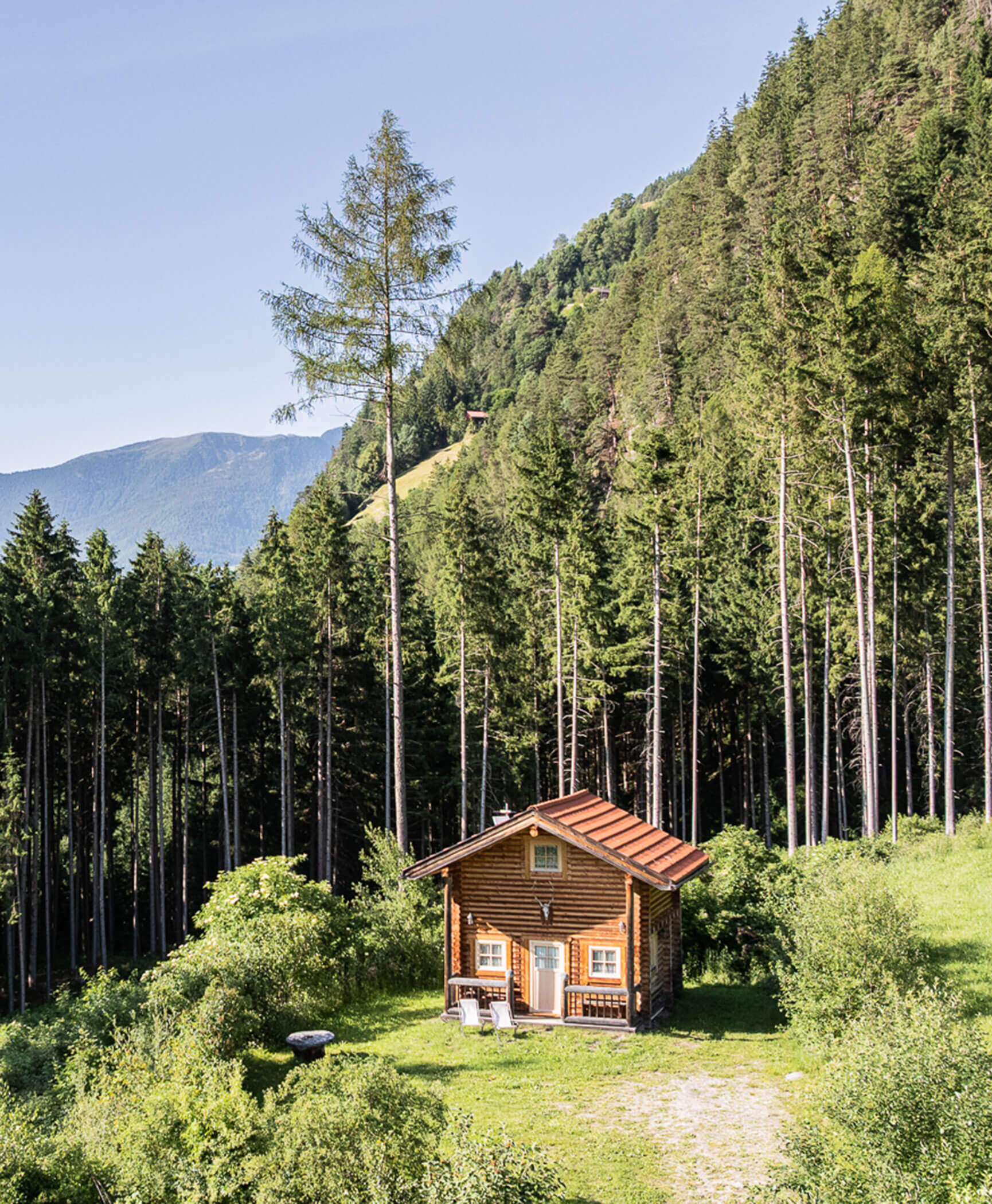 La baita in mezzo agli alberi - Hotel Anewandter