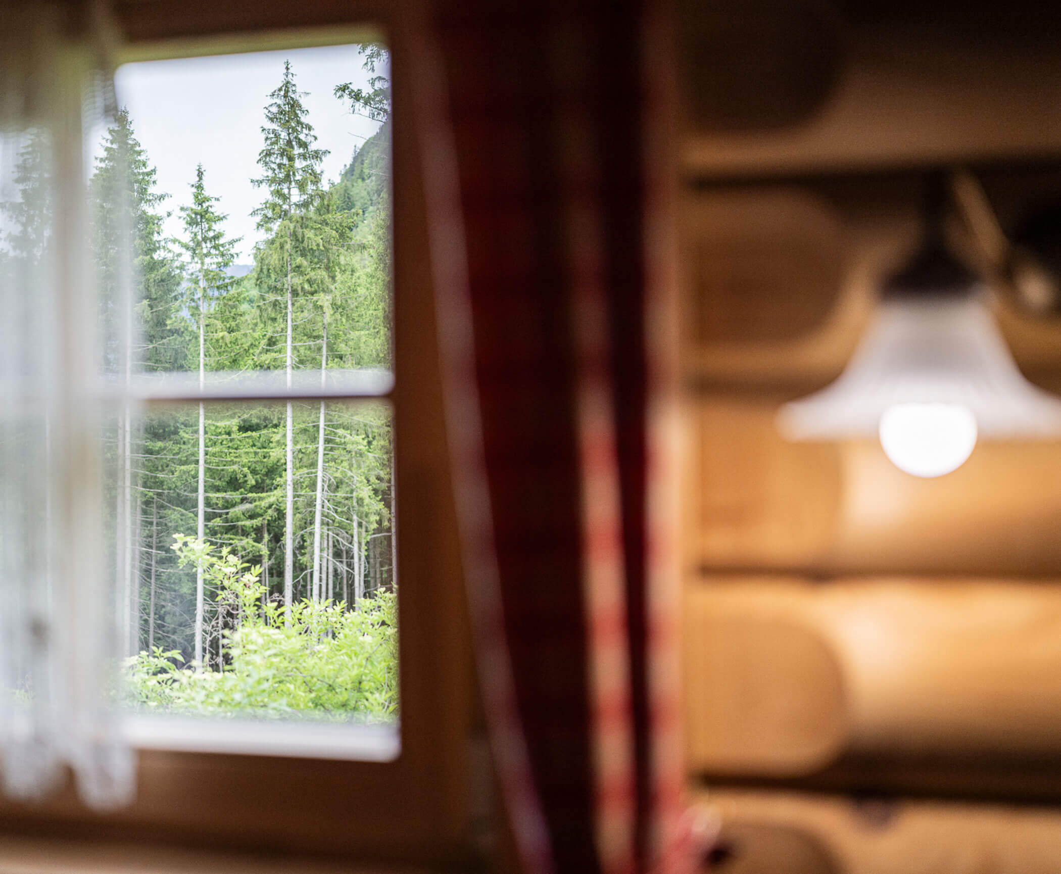 Fenster mit Blick in den Wald vom Blockhaus aus - Hotel Anewandter