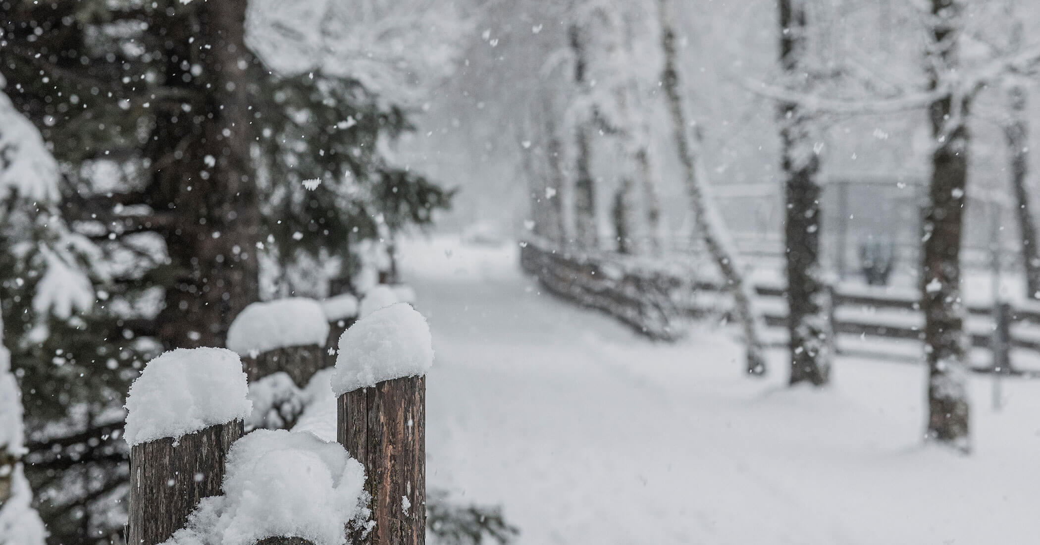 Schneefall vor dem Hotel Anewandter
