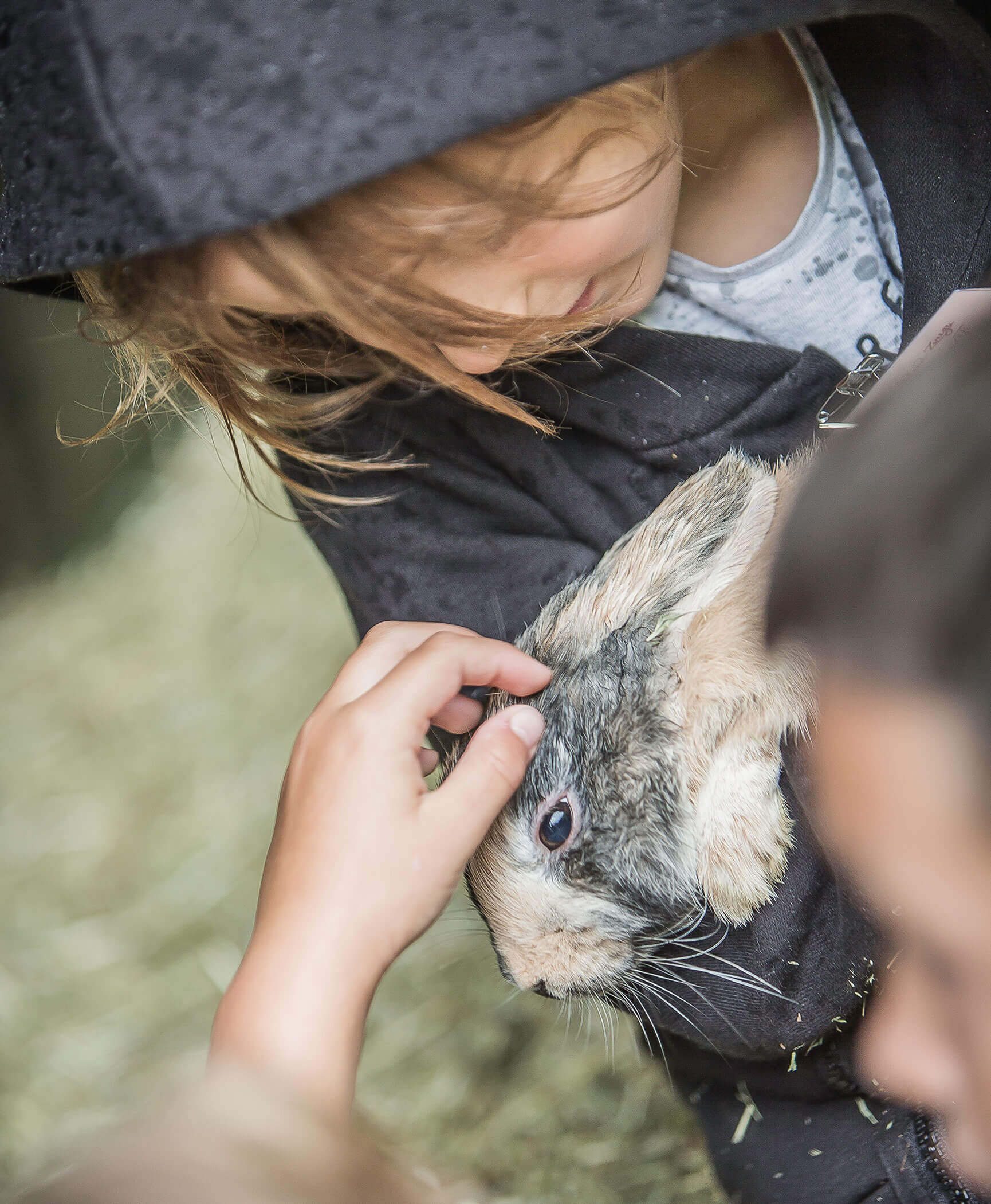 Un ragazzo tiene in braccio un coniglio - Hotel Anewandter
