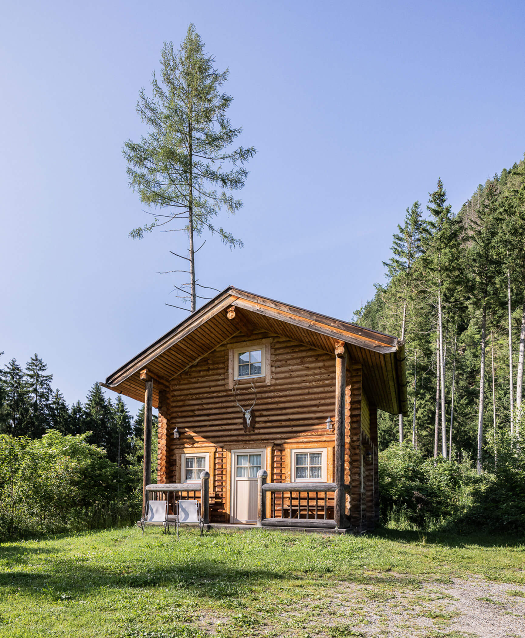 Das Blockhaus im Wald von außen - Hotel Anewandter