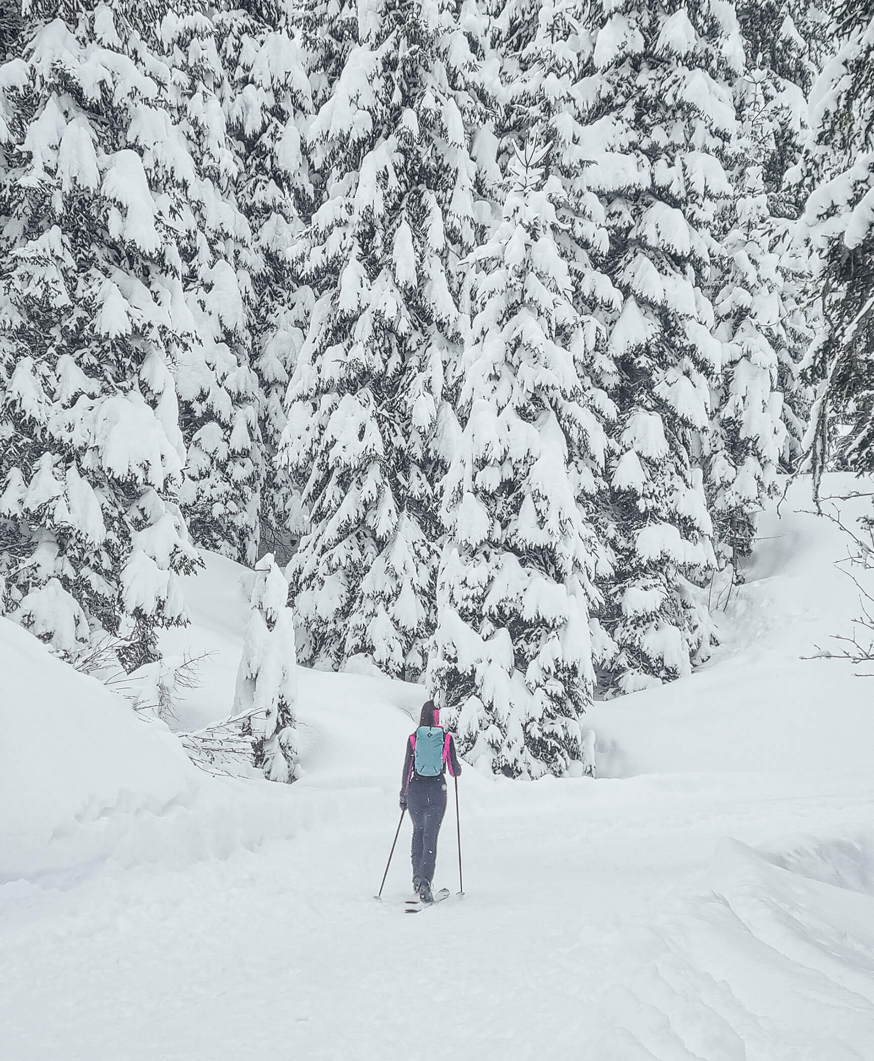 Donna durante un'escursione con gli sci alpinismo nella neve fresca - Hotel Anewandter